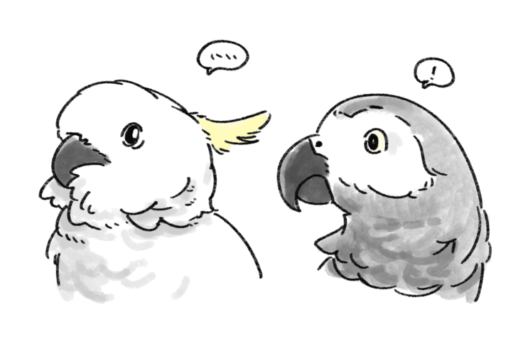 オウムとヨウムの違い