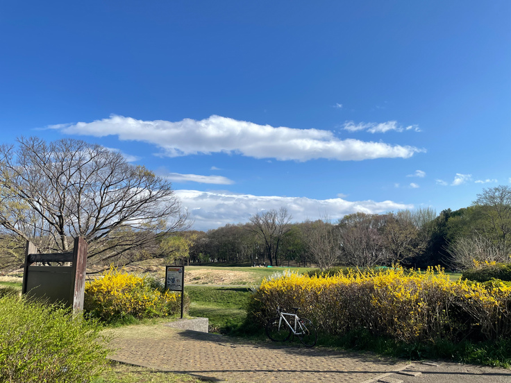 新小金井橋からの風景