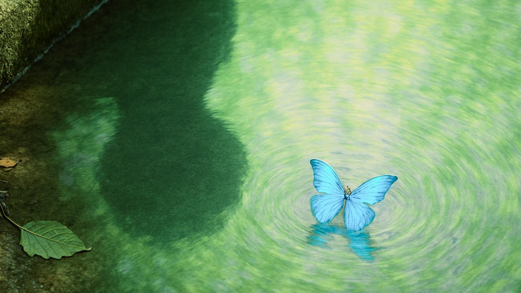 第1章のイメージ図。蝶を中心に波紋が出ている