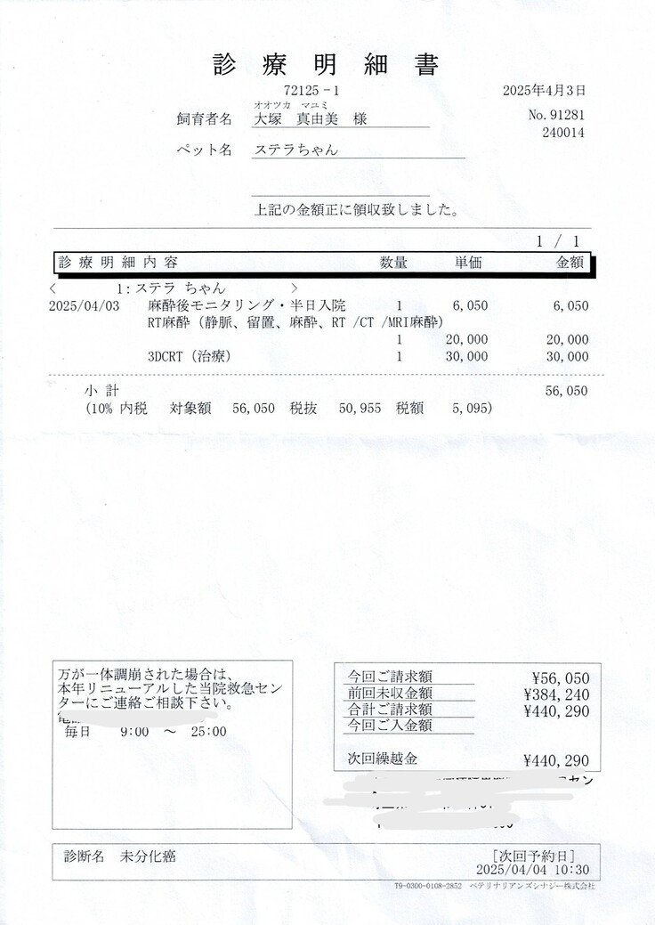 ４月７日診療明細_ページ_2.jpg