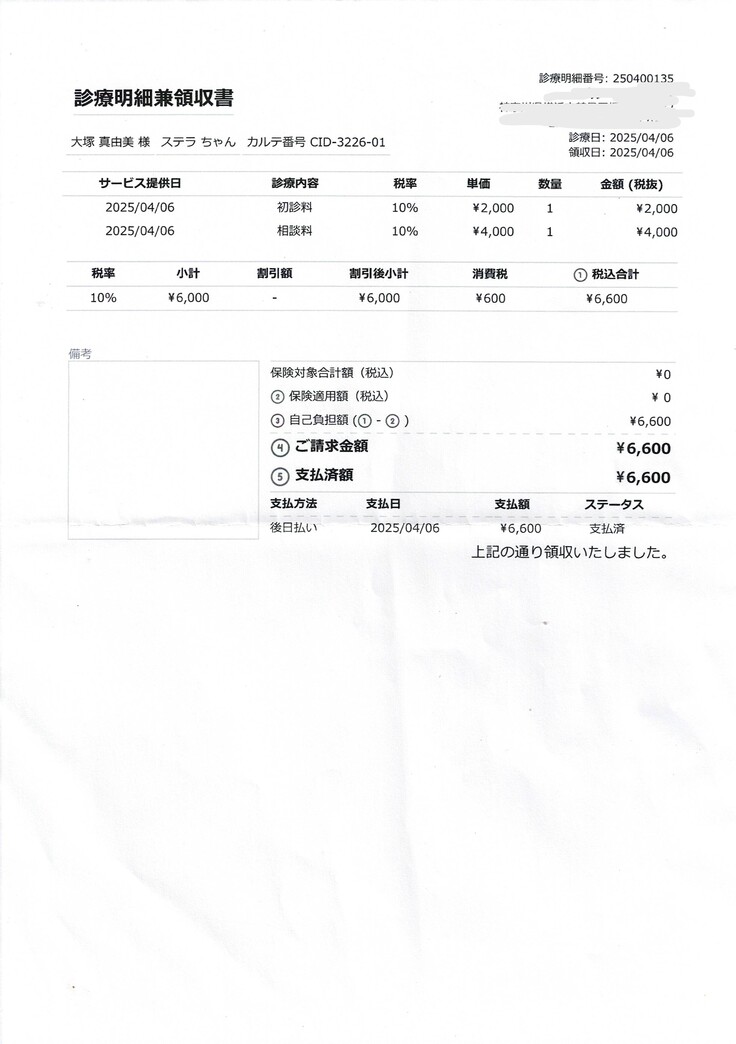 ４月７日診療明細_ページ_3.jpg