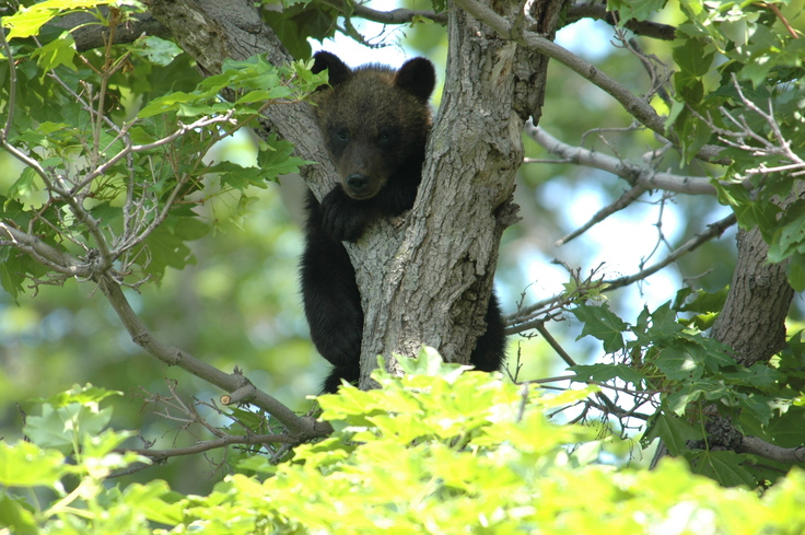 080707_B-13_F1C2_Rusha 007のコピー.jpg