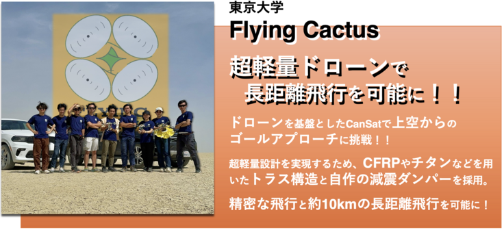FlyingCactus