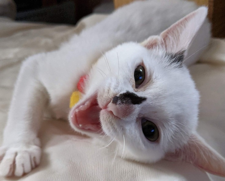 元気いっぱいだよ!!!