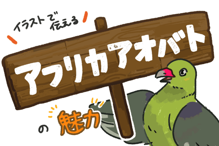 イラストで伝えるアフリカアオバトの魅力