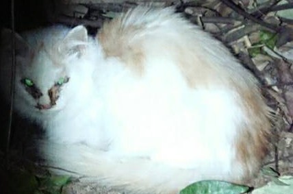 山にいるときの様子