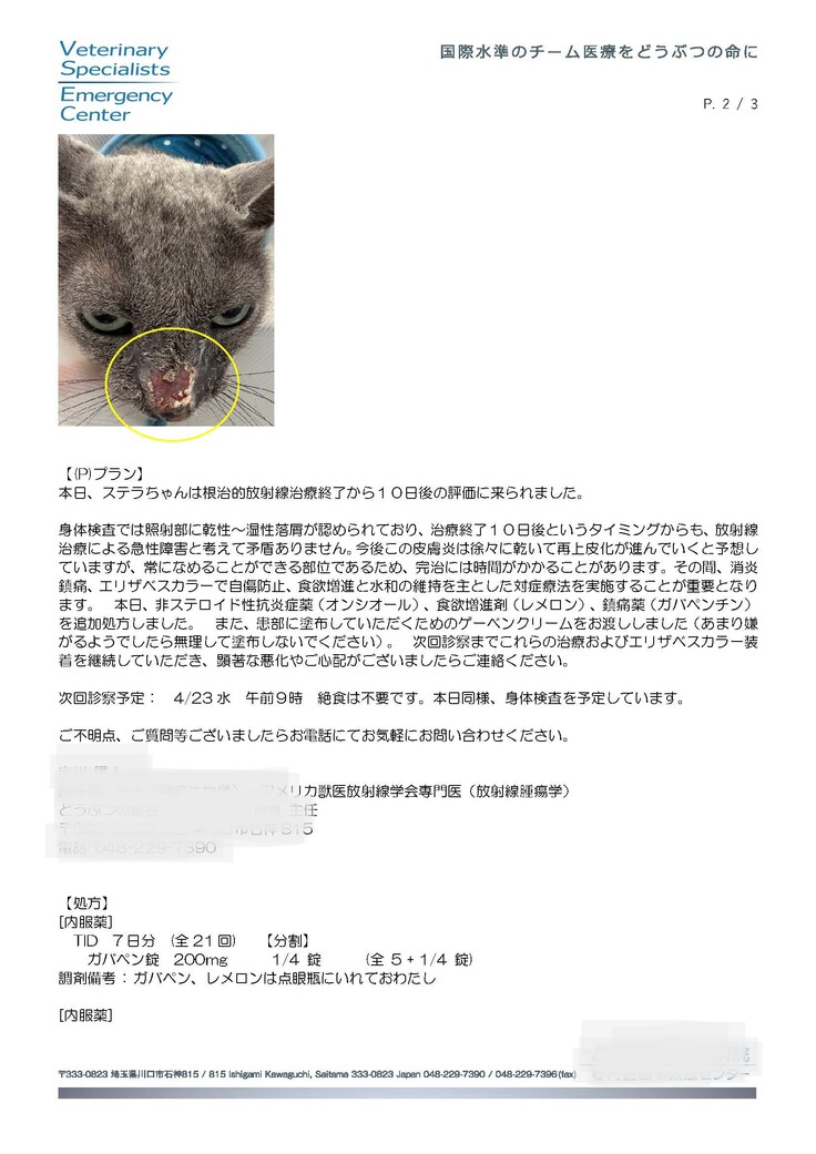 診療報告書72125-1大塚真由美_ステラ20250417_ページ_2.jpg