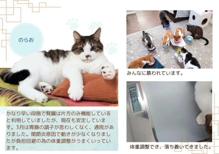 湯たんぽが大好き！湯たんぽの会の会長です。 (1).png