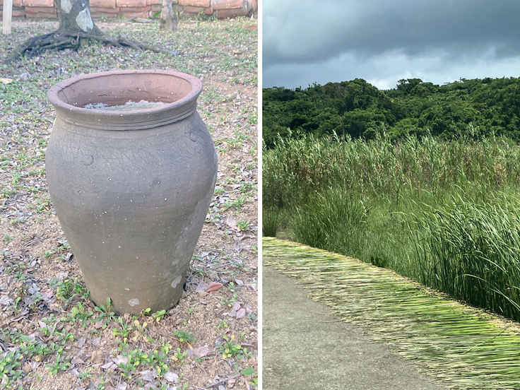 小浜島での取材写真2