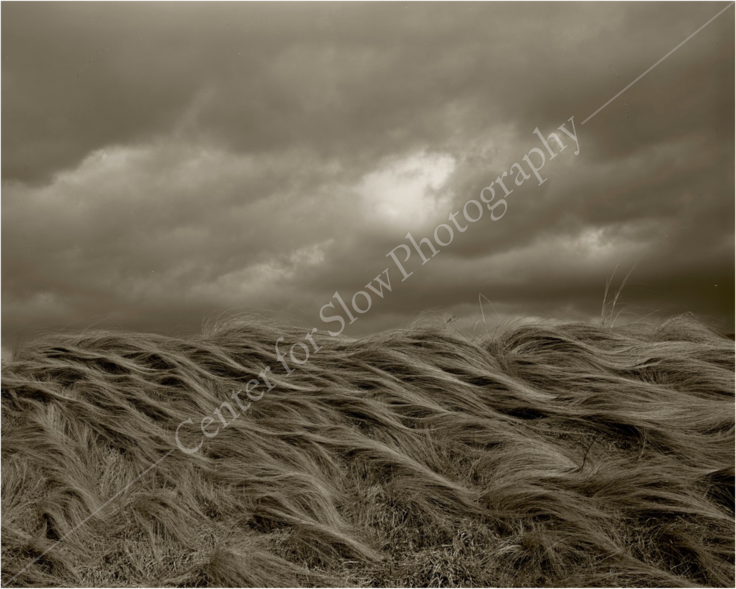  Dark Cloud 1989 長野県八ヶ岳　　雁皮紙にプラチナプリント　２２x３４インチ　　©︎Koichiro Kurita