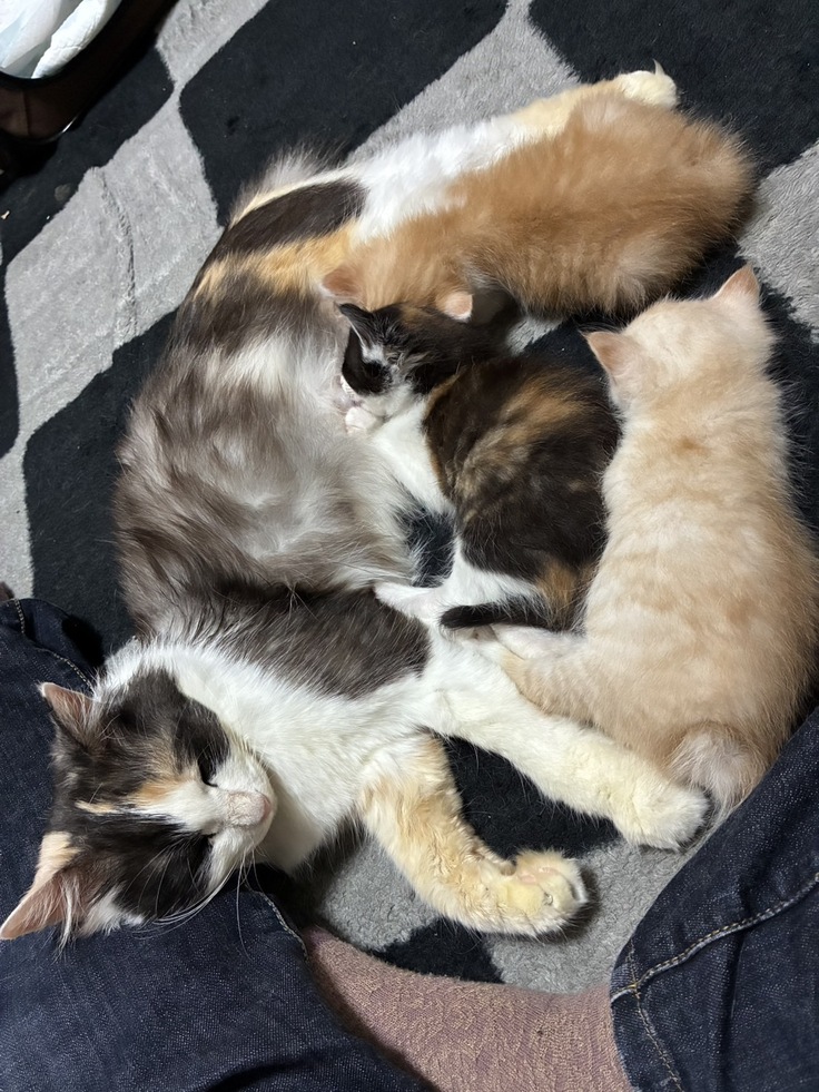 とってもいいお母さんです💖