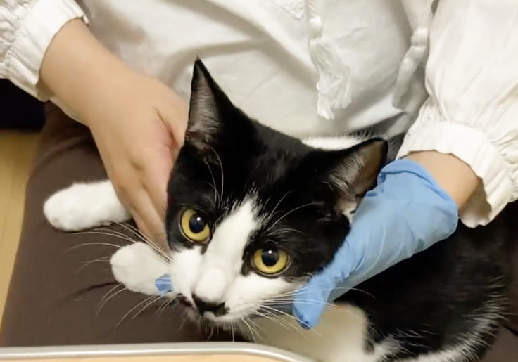 シリンジで投薬中のシドちゃん