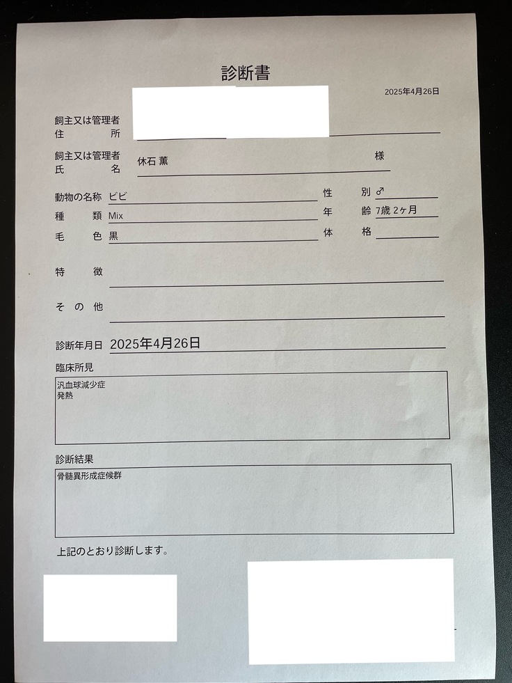 診断書
