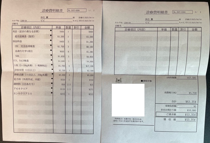 血液検査、入院費用