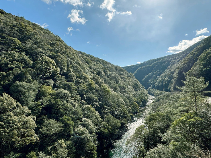 ユネスコエコパーク　日本最大級　綾の照葉樹林