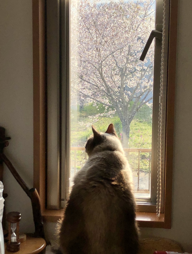 幸せな時間をすごせる場所作りを