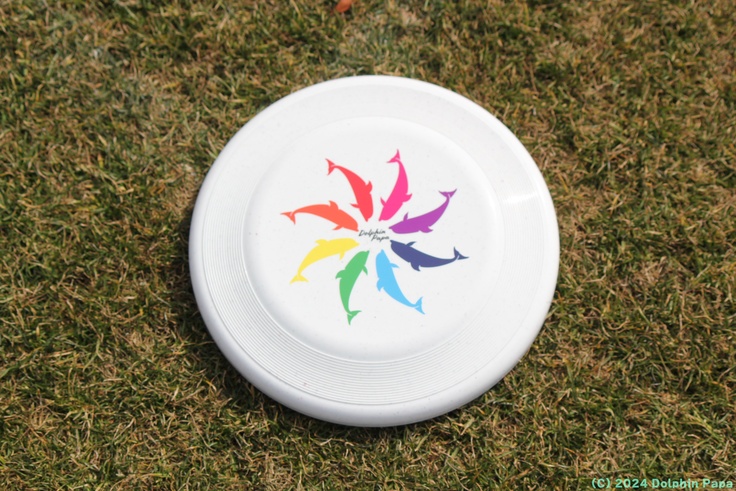 20250215-363＿第２回 DPU 橋本大会.JPG