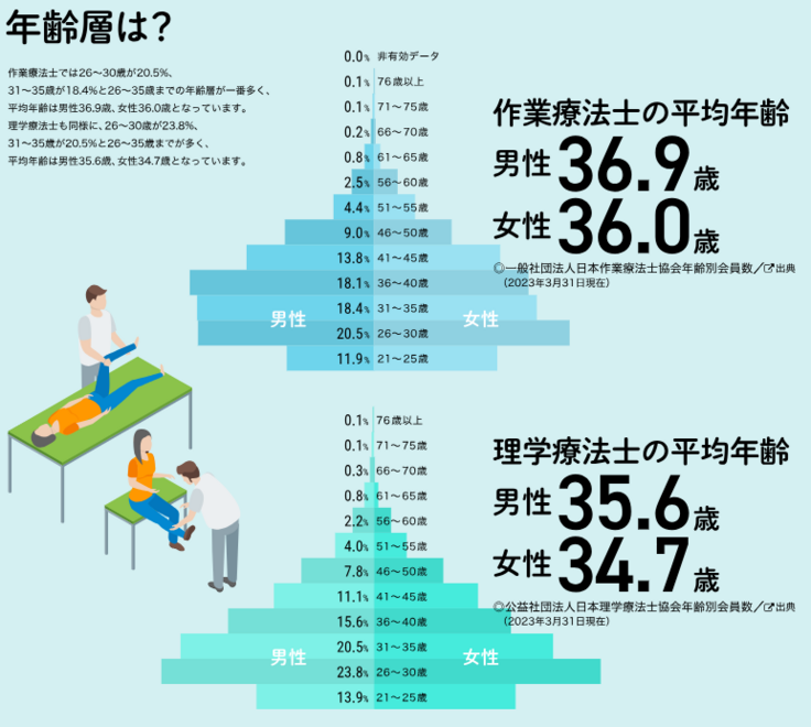 理学療法士・作業療法士の年齢分布