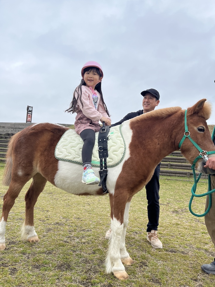 ホースセラピー