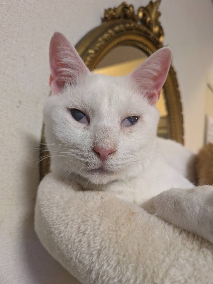 14歳のエイズキャリア