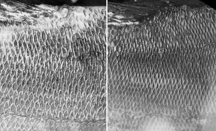 1A2E1853-1880-415F-AAF6-5B318C50435B 1.jpg