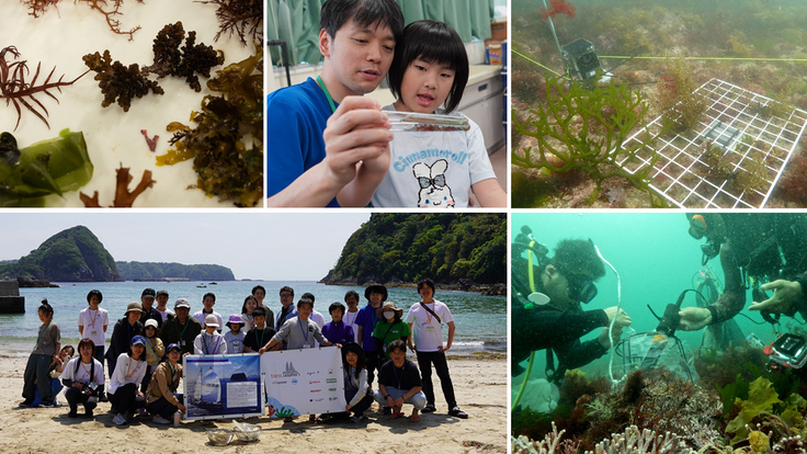 shimoda survey and outreach.jpg