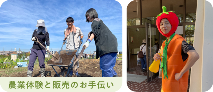 農業体験と販売のお手伝い
