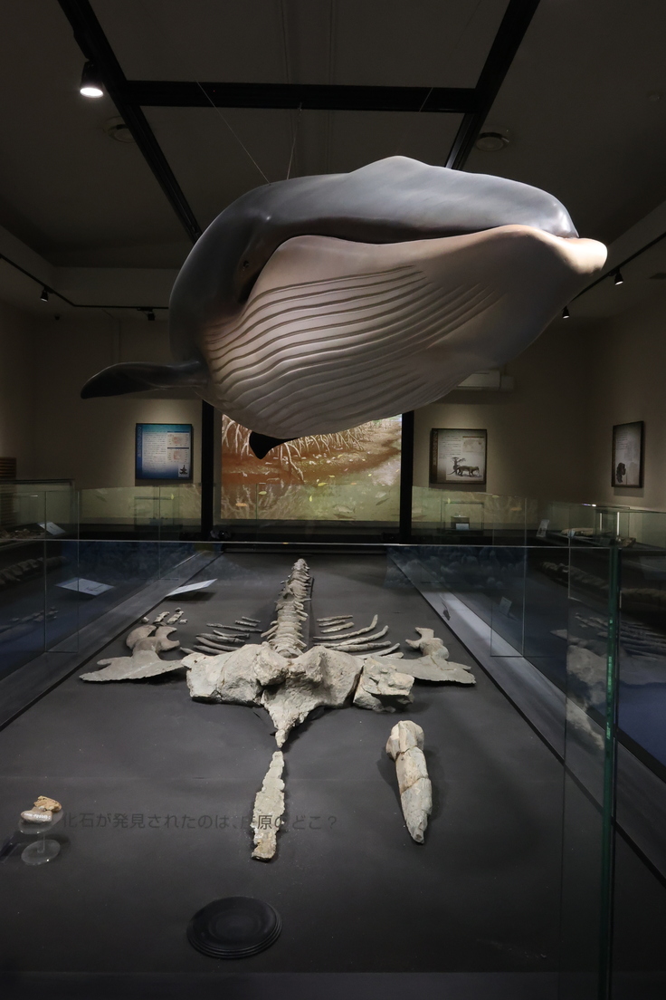 比和科学博物館