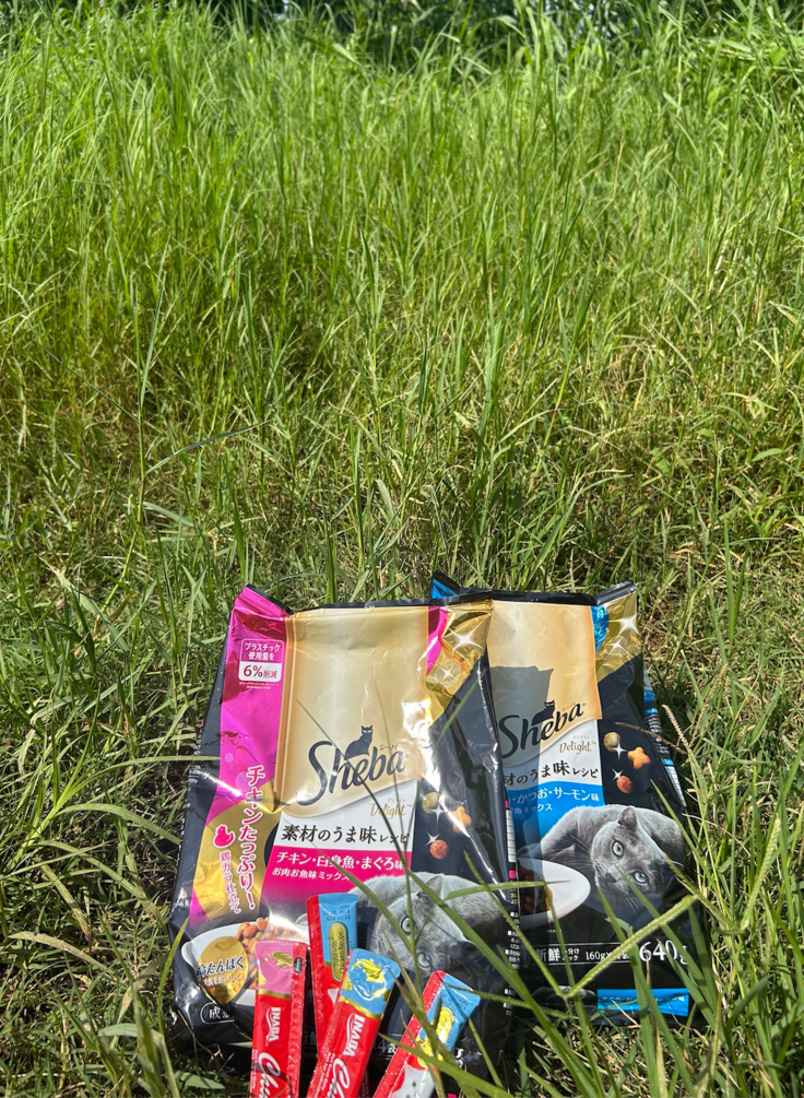 スクリーンショット 2025-05-30 12.05.22.png