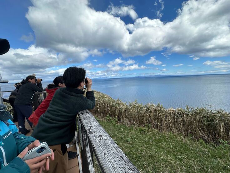 クジラの見える丘公園から観察している様子