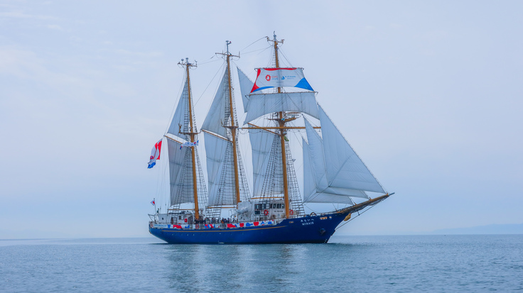 帆船 BLUE OCEAN みらいへ