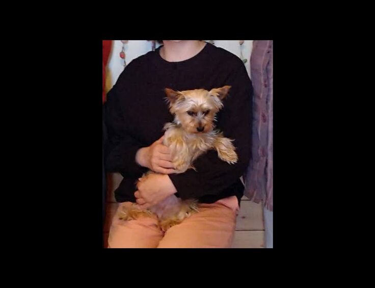 写真 - Google フォト3.jpg