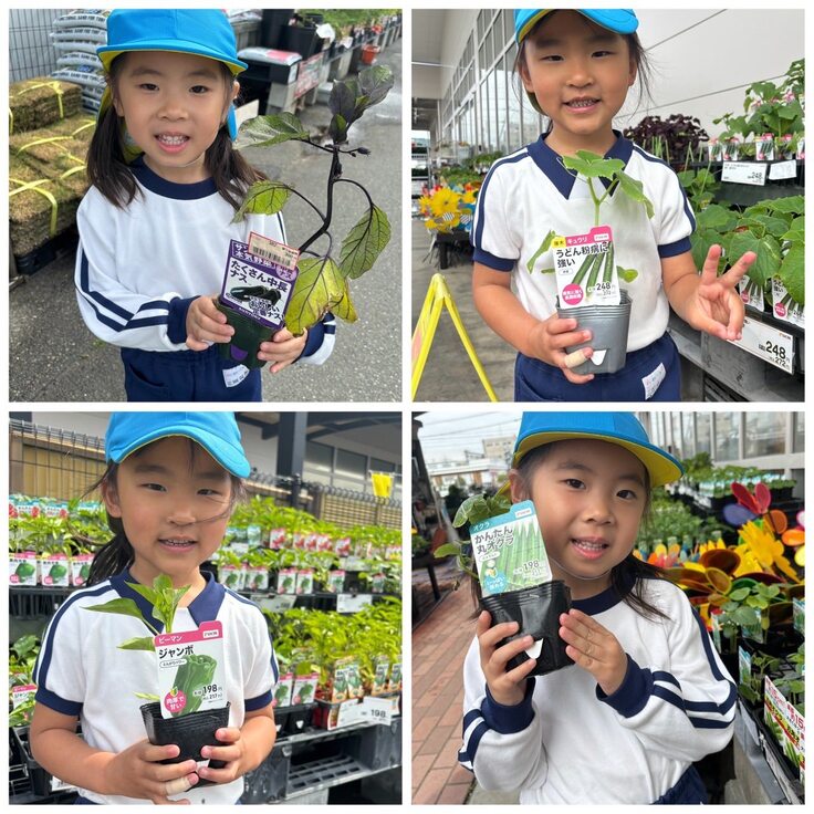 야채모종을 골랐어요.