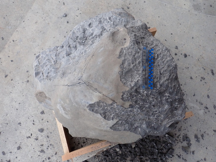 クリーニング１