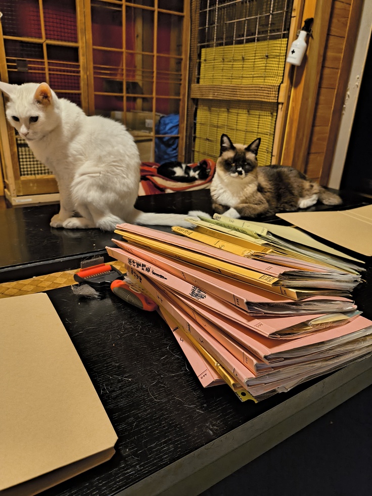 書類の山に奮闘