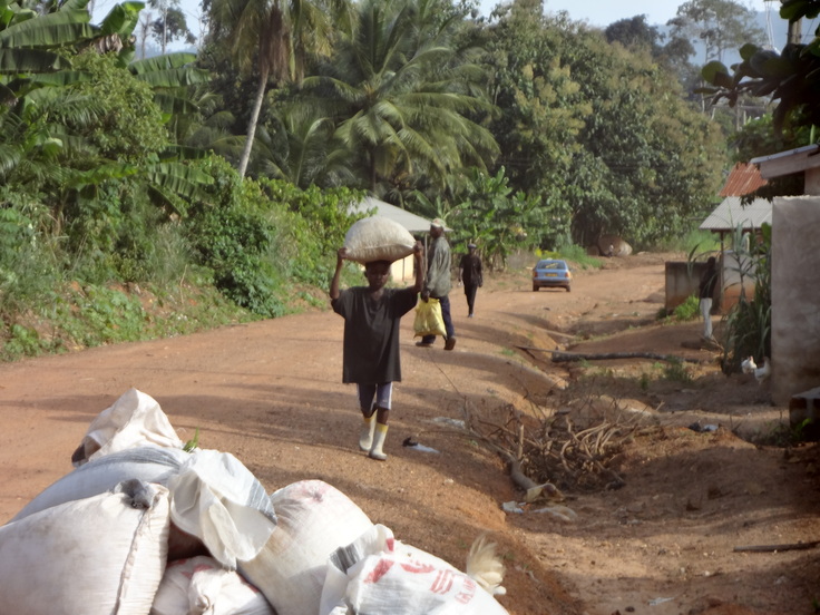 児童労働をする子どもの写真