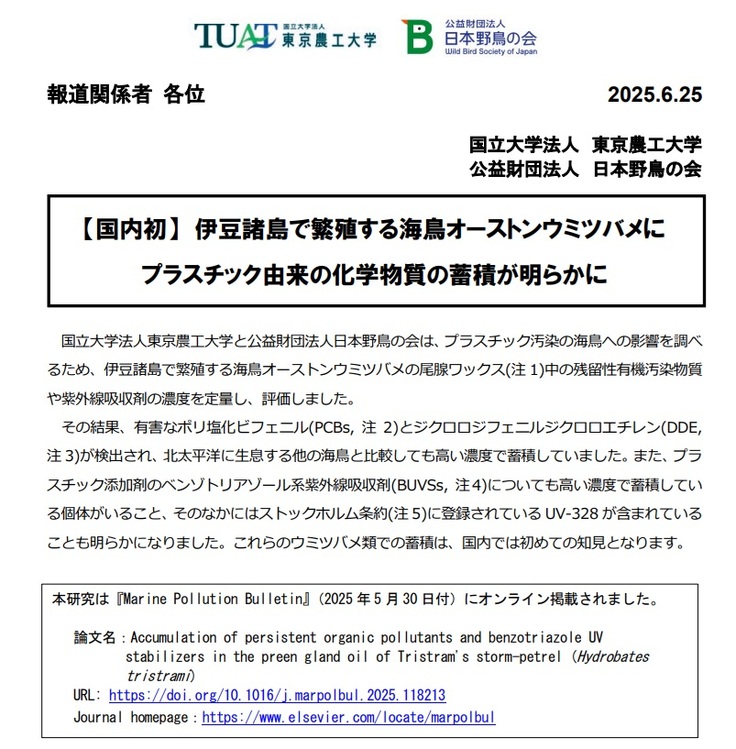 プレスリリース：【国内初】伊豆諸島で繁殖する海鳥オーストンウミツバメにプラスチック由来の化学物質の蓄積が明らかに