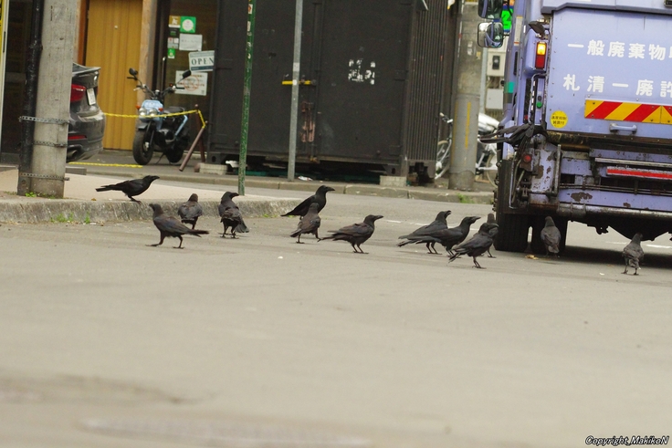 batch_IMGP10710628 (659).JPG