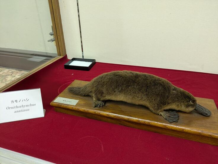 メディア (16).jpeg