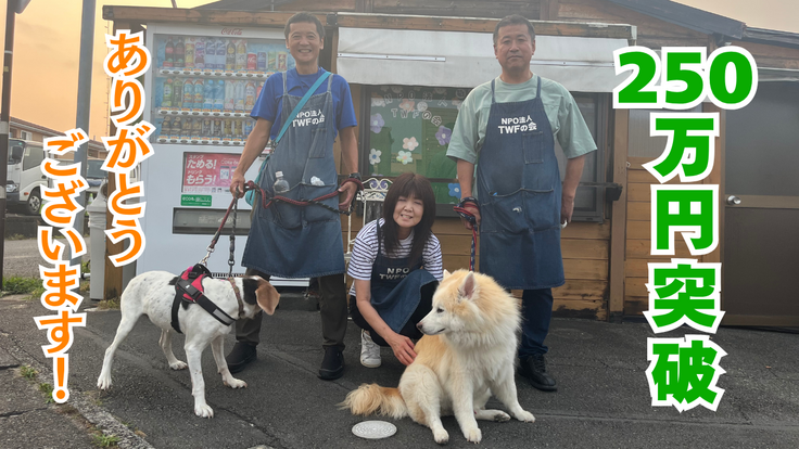 250 万 円 突 破.png