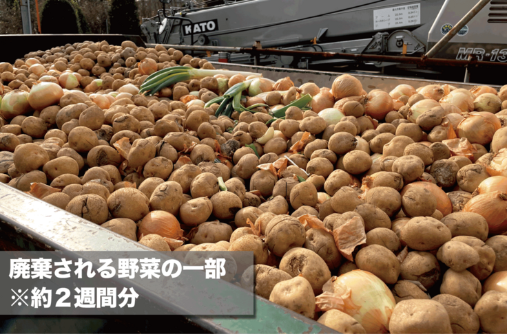 廃棄される野菜の写真