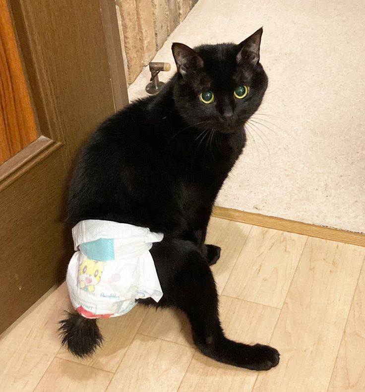 オムツ姿のプラザくん