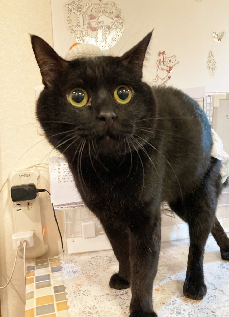 上手に立てるよ