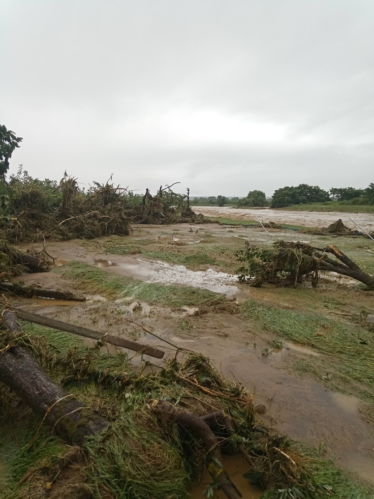昨年7/25の降水の翌日