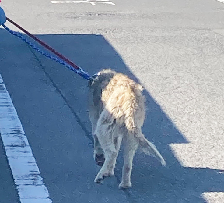 翌日のみちるちゃん