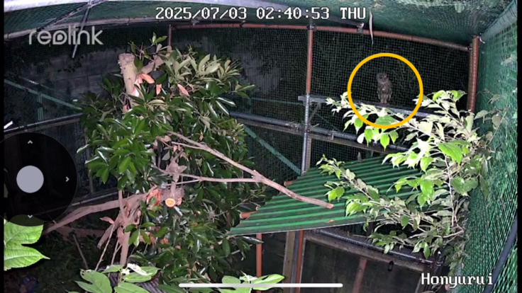 名称未設定のデザイン (2).png