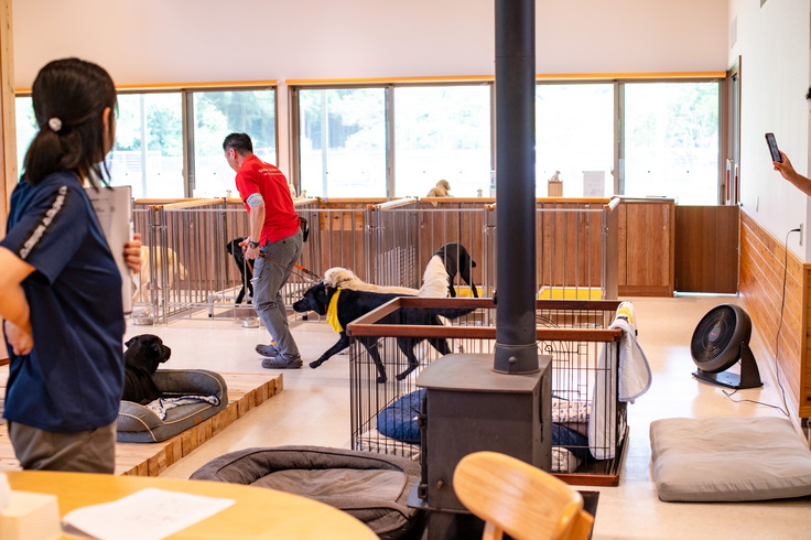 防災訓練の様子。薪ストーブの近くにいた２頭の犬を連れて外へ向かう職員の写真