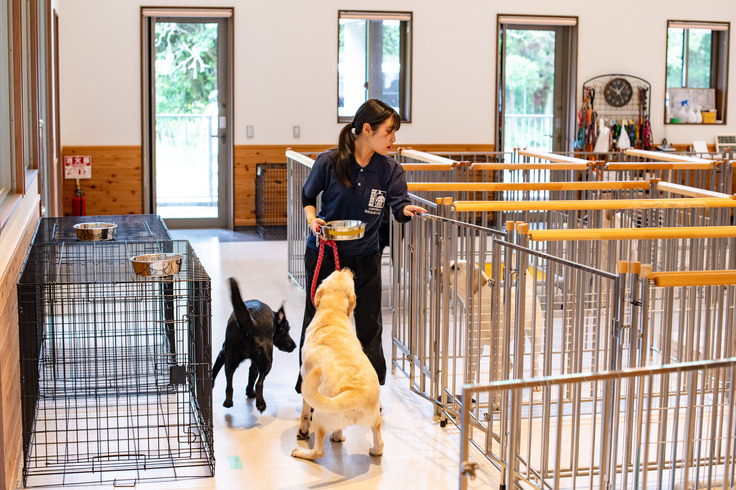 防災訓練の様子。フードの入った食器を持ち、犬室の扉を開けてフリーの状態で犬たちを外へ連れていく職員の写真