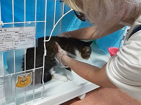 ペリくんのケージ