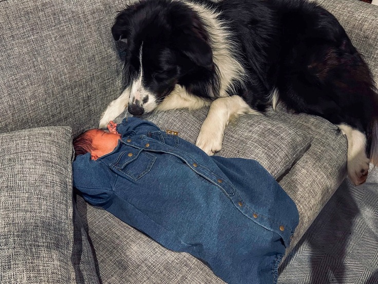 おもちと生後7日のひなた